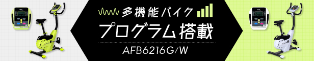 プログラムバイク6216/AFB6216