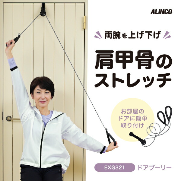 楽天市場】ぶら下がり健康器 コンパクト 健康器具 高齢者 懸垂 運動