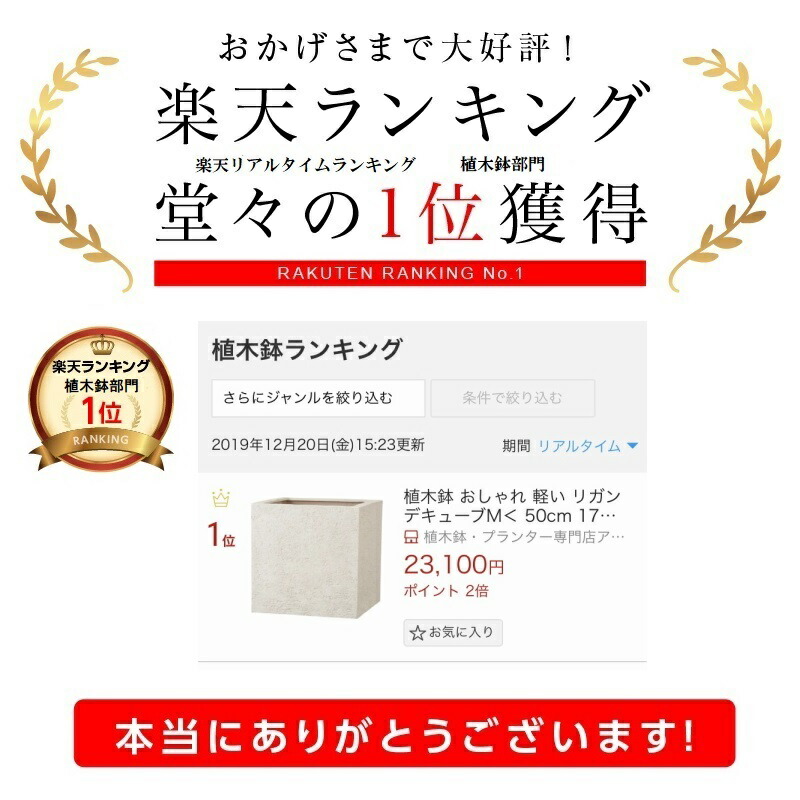 プランター 多肉植物 人気の軽量鉢！ナチュラルな空間にもモダンな雰囲気にも！ サボテン リガンデキューブL＜ 20号 室外 ポリストーンライト  プラスチック おしゃれ 軽い 底穴あり グレー 60cm 軽量 ブラック アイボリー ベージュ 植木鉢 鉢 ボックス 四角 正方形 立方体 ...