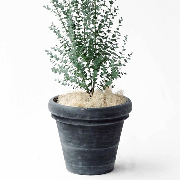 植木鉢 おしゃれ プラスチック 大型 軽い ボルドー 2l 2色 60cm 号 ポリエチレン グレー 赤 茶 穴あり テラコッタ色 円形 円錐型 白色 軽量 樹脂 プランター 軽量鉢 鉢 特大 ガーデニング 室内 植え替え 鉢植え 園芸 観葉植物 多肉植物