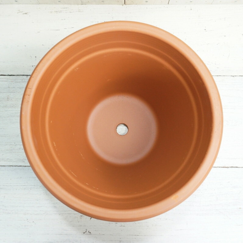 植木鉢 おしゃれ 大型 テラコッタ リムポット M 42cm 14号 底穴あり イタリア テラコッタ 陶器鉢 素焼き プランター 鉢 特大 大きめ ガーデニング 室内 植え替え 鉢植え 園芸 観葉植物 多肉植物 塊根植物 サボテン 人気 人工観葉植物 花 クリスマス Amedf Com Br