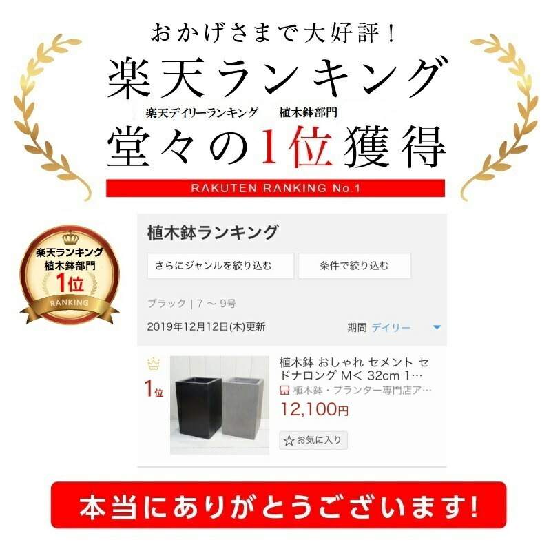 植木しゃれこうべ 着飾る 大型 接着剤 セドナロング L 41cm 14ナンバー 底穴あり 黒 グレー 後側の高価 縦リーダ 長鉢 屋外 スクエア 長方形 コンクリ 柔らかい プランター 鉢 特大 大きめ ガーデニング 室内 植え替え 鉢植え 園芸 観葉草木 多肉植物 塊根植物 サボテン