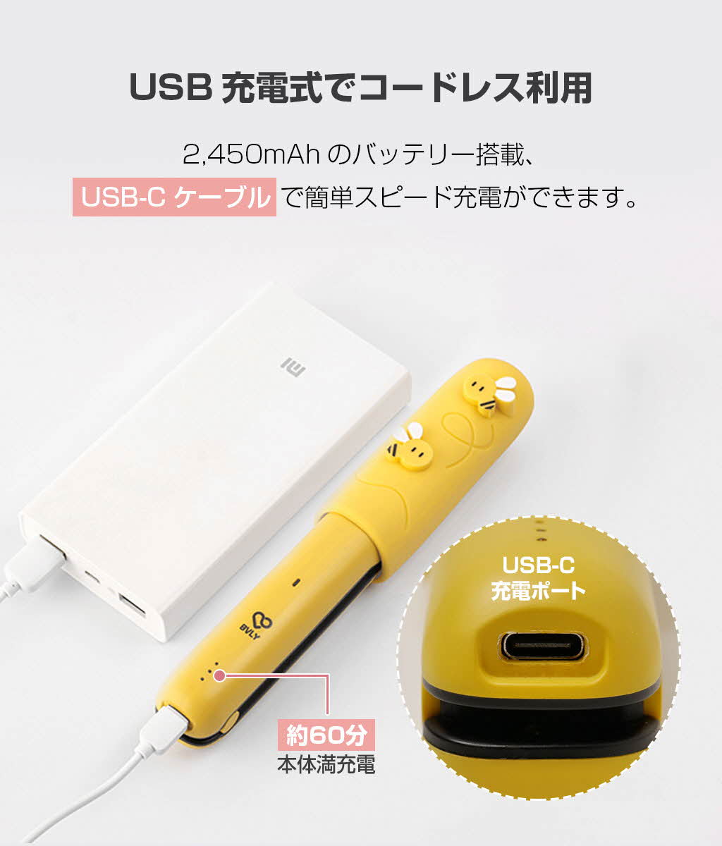 充電型ヘアアイロン Bvly コードレス ミニヘアアイロン 持ち運べる ストレート カール ミニ Usb充電式 ストレートアイロン 小型 コンパクト 男性 かわいい 軽量 旅行 出張 学校 おしゃれ メンズ レディース 1年保証 Butlerchimneys Com