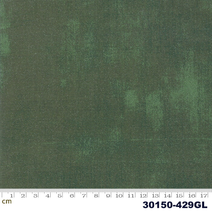 【楽天市場】【クーポン最大500円OFF！】Grunge Glitter30150429GL(グリッター加工)(2E02) グリーン