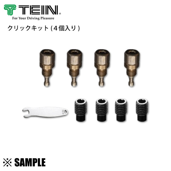 楽天市場】数量限定 大特価 正規品 TEIN ピロボール 2個セット