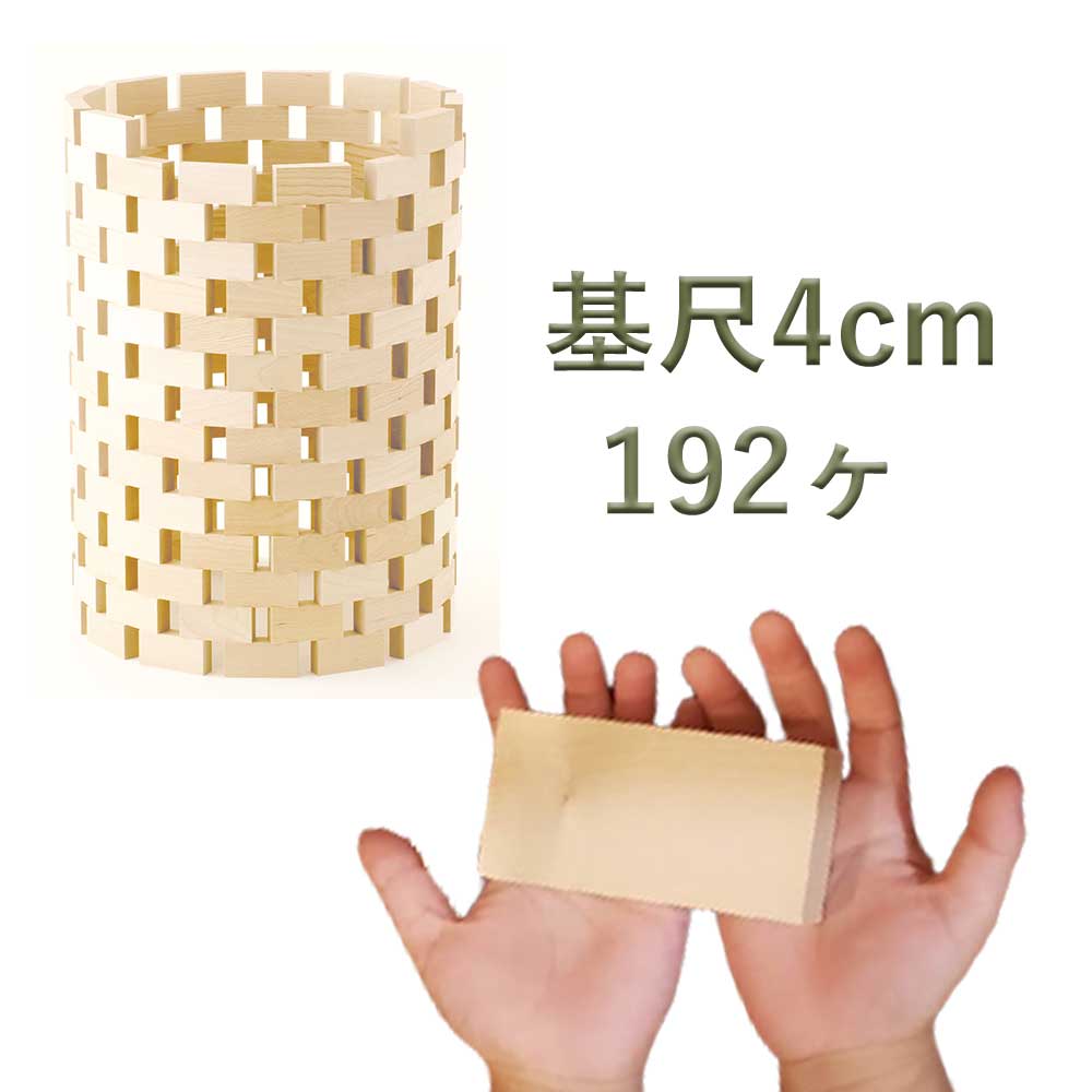 ブラザー・ジョルダン レンガブロック 192 BJ0042 木製 日本製 積み木 積木 知育遊び 知育玩具 おもちゃ プレゼント 誕生日 1歳 2歳 3歳 入園祝い キッズスペース 幼稚園 保育園 キッズルーム｜知育玩具の adoshop アドショップ