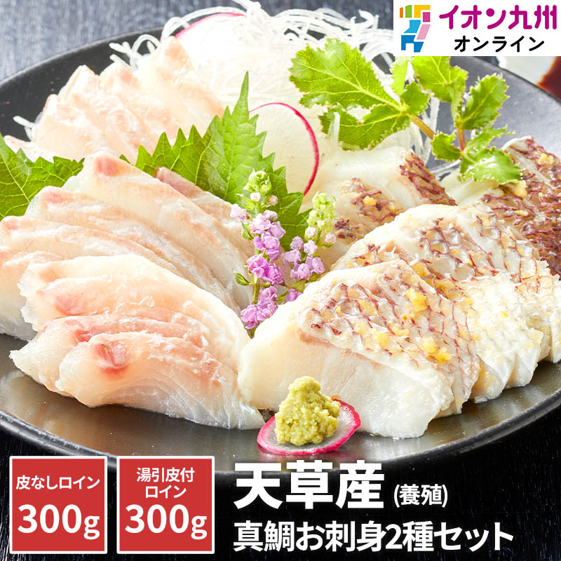 【最大500円OFFクーポン配布中♪5/23 20:00~5/27 9:59】 刺身 熊本県 天草産 真鯛 養殖 お刺身用セット 苓南 タイ 鯛 真鯛 お刺身 セット 盛り合わせ お取り寄せグルメ