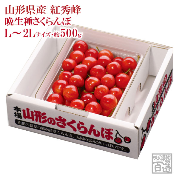 お中元さくらんぼ 紅秀峰 バラ詰約500ｇ L～2Lサイズ(72-CO)