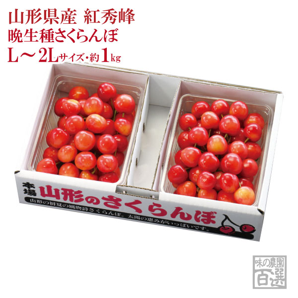 紅秀峰 バラ詰約1kg L～2Lサイズ（72-F）