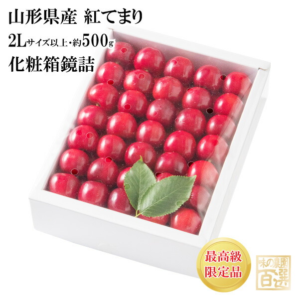 紅てまり 化粧箱鏡詰約500ｇ 2Lサイズ以上(72-O)