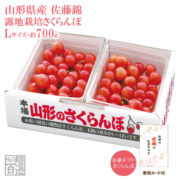 友達ギフトさくらんぼ 露地栽培 最盛期佐藤錦バラ詰700ｇ Lサイズ(67-W)【山形産/さくらんぼ/サクランボ/送料無料/贈答用/お中元】