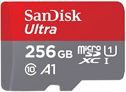 SDSQUA4-256G-GN6MN 外国でリテール アダプタ無