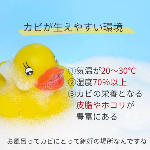 楽天市場 お風呂のカビ予防 Furomori フロモリ お風呂 カビ防止 浴室 バス おふろ 黒カビ カビ対策 防カビ 天然由来 バイオ 置型 置くだけ 3ヶ月 納豆菌 掃除 きれい 大掃除 予防 かび グッズ アイテム お手入れ 簡単 お掃除 時短 防止 アルファックス Onlineshop