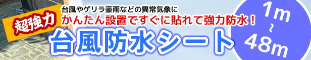 楽天市場】ステンレス溶接金網 目開き：8.8mm メッシュ：2.5 線径：1.2mm サイズ：1000mm×9m ステンレス溶接網 ファインメッシュ  SUS 溶接網 SUS 溶接金網 メッシュ 金網 【送料無料】 : 網メッシュ.ネット_楽天市場店