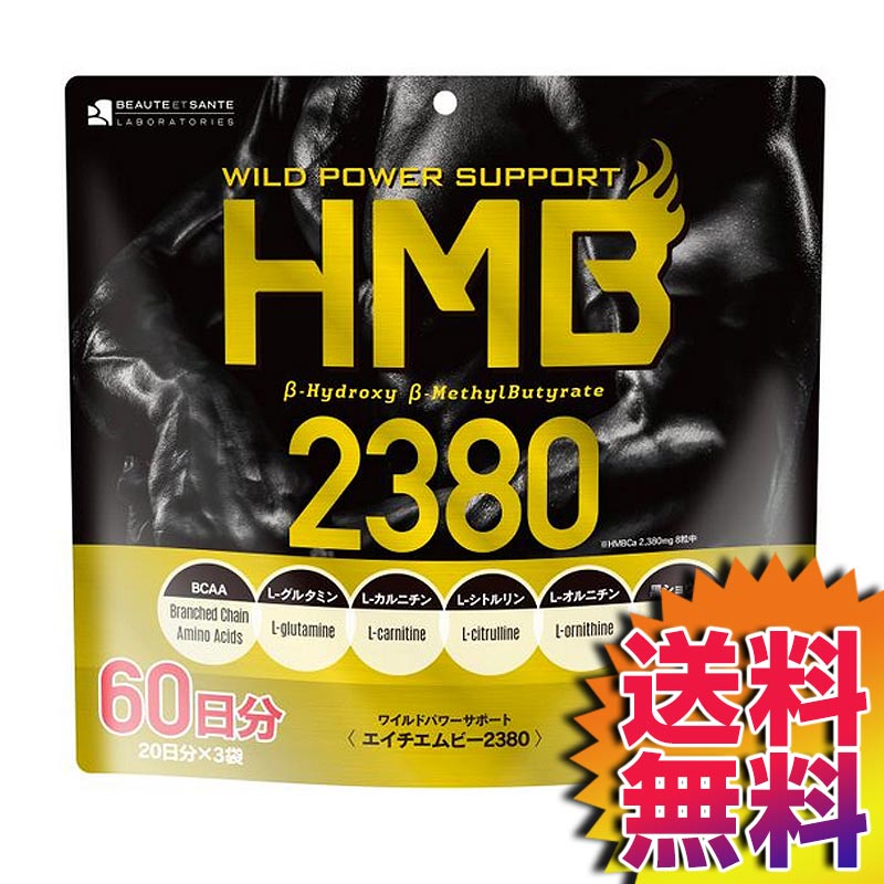 楽天市場 送料無料 コストコ Costco Hmb 2380 サプリメント 160 粒 X 3 袋 Item プロテイン 必須アミノ酸 登山と林業のan Donuts