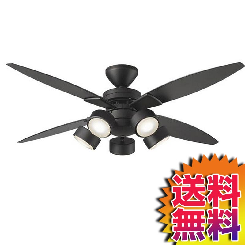 お買得限定品☆夏売れ筋 DAIKO ダイコー 大光電機 シーリングファン 5