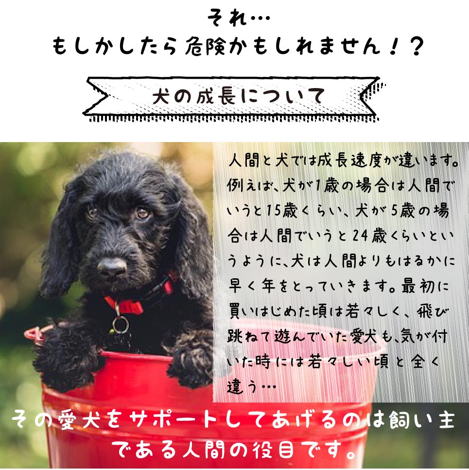 楽天市場 犬のふしぶしカルカル 100g メール便送料無料 犬 ふしぶし サポート サプリメント 発酵グルコサミン コンドロイチン プロポリス ヒアルロン酸 猫用 ペットサプリ 粉末 チキン エキス コラーゲン 米粉 デキストリン 動物用 わんこ ペット Relief Life リリーフ