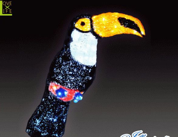 【LED】【イルミネーション】【大型商品】LEDクリスタル オオハシ【南国】【ゴシキドリ】【インコ】【いんこ】【オウム】【鳥】【アニマル】【動物】【電飾】【モチーフ】【クリスマス】【クリスタル】今年もかわいいイルミネーションで飾り付け 31,246円