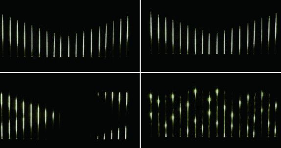 LEDウェーブカーテンライト LED照度 【LED】【２０ 】【貨物輸送無料】【クリスマス】【照度】【電飾】【画題】【大人気】