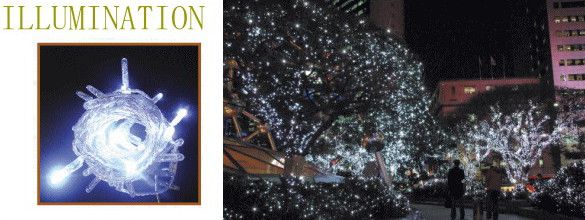 最新人気 楽天市場 2012新作イルミネーション Ledクリスタル クリスタルフラッシュライト 輝き 発光 Ledイルミネーション クォリティーの高いイルミネーションが勢ぞろい Led 送料無料 クリスマス イルミネーション 電飾 モチーフ 大人気