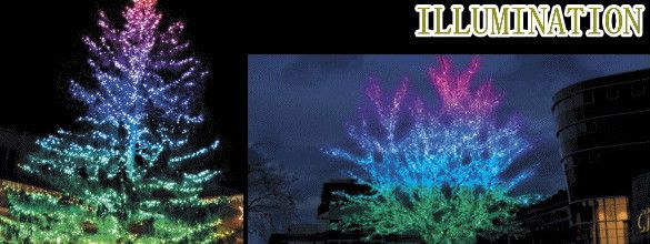 【ストレートライト】LED ツインクルマルチライト【300球】【マルチ】【レインボー】【RGB】【無限変色】【虹】【ストリング】【プロ】【クリスマス】【イルミネーション】【ライト】【装飾】【工事】拡散発光で美しさは群を抜いています 今年はカラフルに飾りつけ｜ＡＯＩデパート
