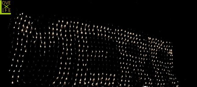 【LED点火装置】【20 】LED プログラムネットライト【768球】制御装置で英文字記号・数詞書きあらわす♪思い思いの放送番組でかっこよく点滅させましょう♪【2012年新作】【貨物輸送無料】【大人気】【照度】【LED】【大人気】
