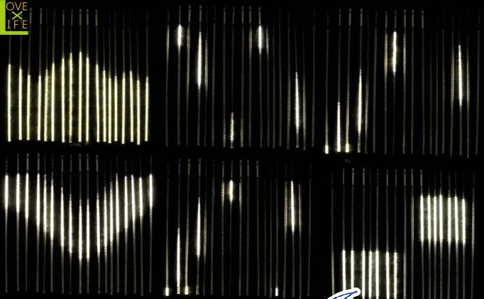 【LEDライト】【20 】LED　ウェーブカーテンライト【972球】ビッグなウェブカーテン♪変幻自在の輝きで目立っちゃいましょう♪すごくダイナミックです！【2012年新作】【送料無料】【大人気】【イルミネーション】【LED】【大人気】