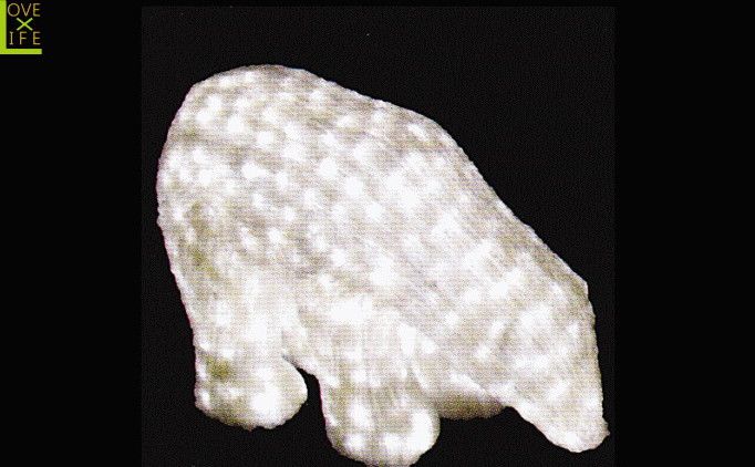 【LEDモチーフ】【20 】LED　クリスタル　白クマ【A】【ベアー】【3D】ハイクオリティーシリーズのくまさん♪全身にコーティング加工！輝きは最高です♪【2012年新作】【送料無料】【大人気】【イルミネーション】【クリスマス】【LED】【大人気】