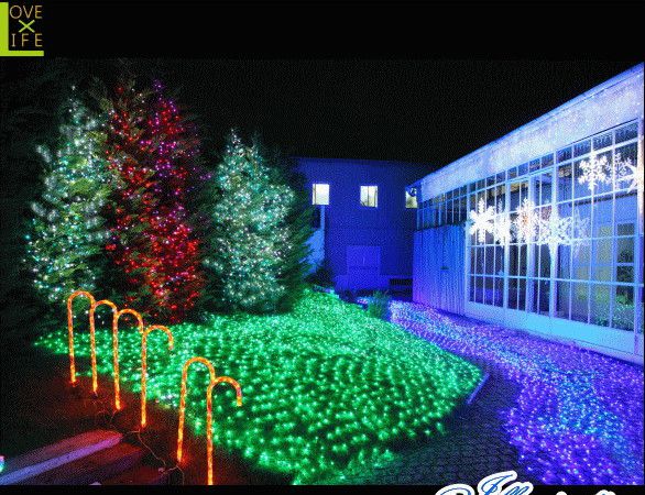 【LED】【ネット】LED ネットライト【180球】【連結用】【ブラックコード】【面】【LED】【ネット】【均等】万能のネットライト 均等にLEDを分散 AOIデパートのLEDイルミネーション【 】【イルミネーション】【クリスマス】【電飾】【 】【 】