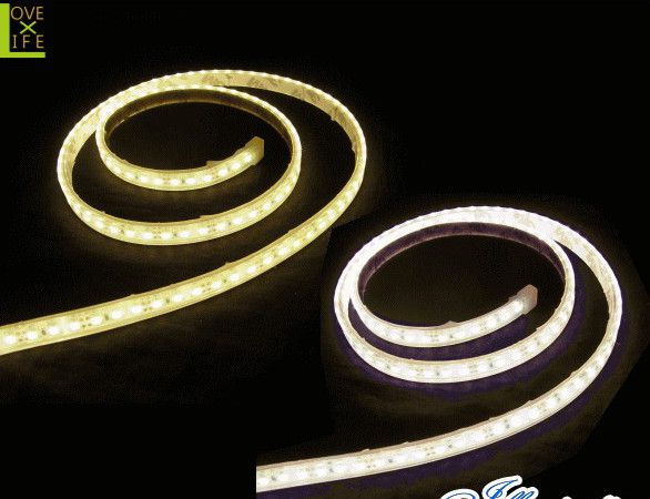 【20 】LED シュロの葉ともし火【120球/1M】【5M】【LED】【磁気テープともし火】【伝達ルート】磁気テープともし火に新作御出座し！伝達ルート取りに至適です♪【貨物輸送無料】【クリスマス】【照度】【電飾】【楽想】 花・ガーデン・DIY-エクステリア・ガーデンファニチャー-ライト・イルミネーション