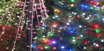 LEDイルミネーション　ＬＥＤ　グローブライト　ボールライト　ＬＥＤ　100球【LED】【送料無料】【クリスマス】【イルミネーション】【電飾】【モチーフ】【大人気】【グローブ】【ボール】