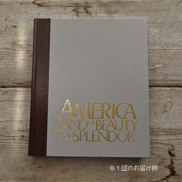 アンティーク 洋書 古本 一冊 黒茶系 フランス イタリア ドイツ 