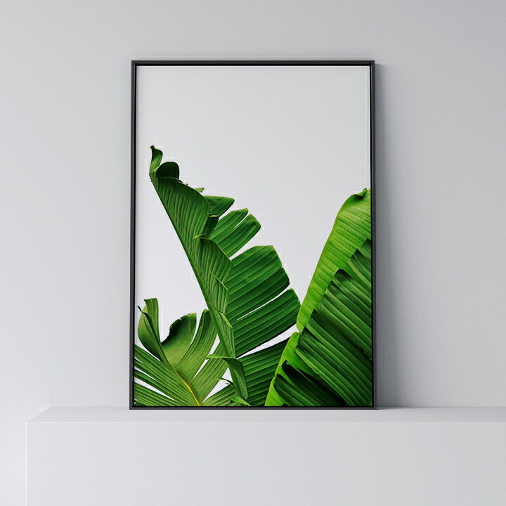張り出し 北欧 今めかしい 室内装飾 作物 作物ダイアログボックス 【 Banana Leaf 】 岩礁 葉 草木 バナナの木 緑 緑であること 木の葉 今めかしい 分かりやすい 一こま付き添い人 A0 A1 B1 A2 B2 A3 B3