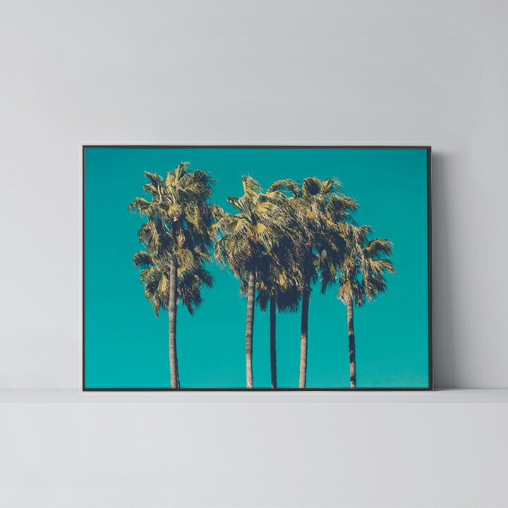 張り出し 北欧 今めかしい 室内装飾 A2 B2 作物 作物ダイアログボックス 【 Palm Trees 2 】 ヤシ科 海 南国 今めかしい 分かりやすい 一こま付き添い人 A0 A1 B1 A2 B2 A3 B3