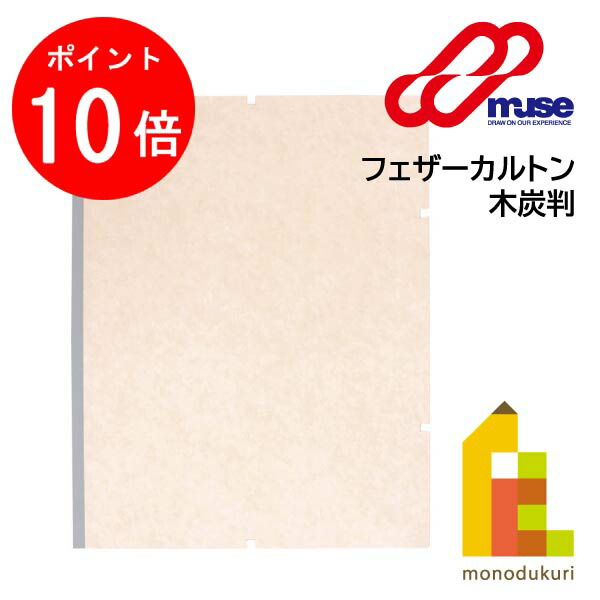 楽天市場】アルシュ社製 木炭紙 MBM 厚口105g 10枚組 【 描画用紙 絵画