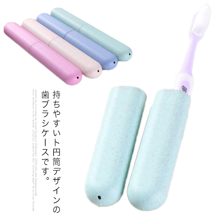 おしゃれ 歯ブラシケース スタンダード 3 30ホンヨウ 1台 日本医療器研究所 24 4780 00 人気ブランド Moenvironment Org