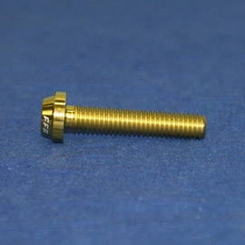 PROTI 64チタン MV F4 1000 エンジンカバー下部用 15PCS