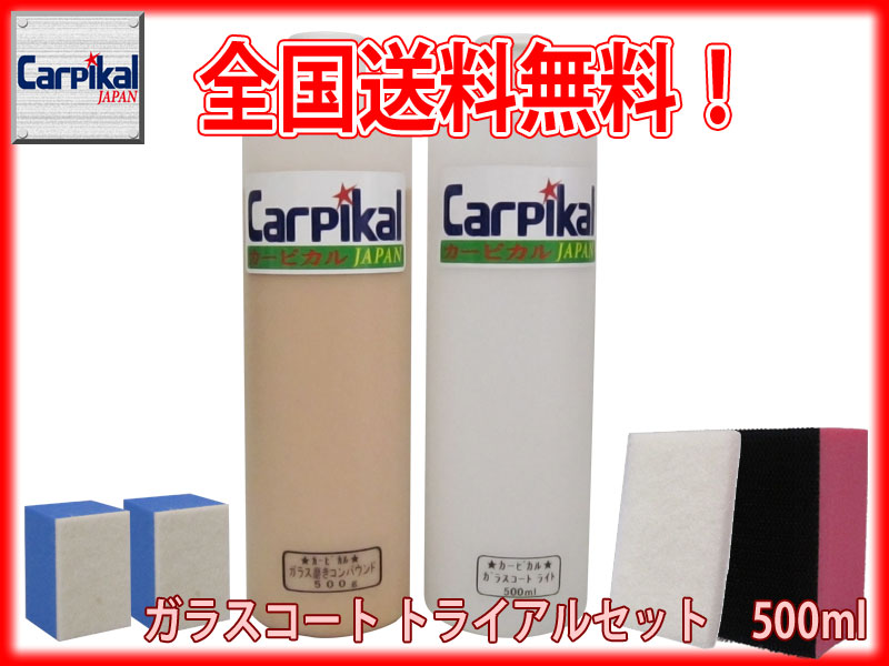 送料無料 ガラス傷 撥水コーティング 業務用 ガラスコート トライアルセット 500ml ウィンドウ コーティング剤 ワイパー傷 ガラスコーティング ウインドウコート ウインドケア 油膜除去 Sermus Es