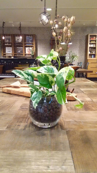 送料無料 ハイドロ カルチャー 観葉 植物 ポトス エンジョイ 観葉植物 ハイドロカルチャー 高さ15cm程度 丸 ラウンド グラス ガラス 受賞 陶器 誕生日 風水 ユーロプランツ お祝い おしゃれ 開店祝い 誕生日 北欧 丈夫 鉢植え 風水 ギフト 花言葉 華やかな明るさ