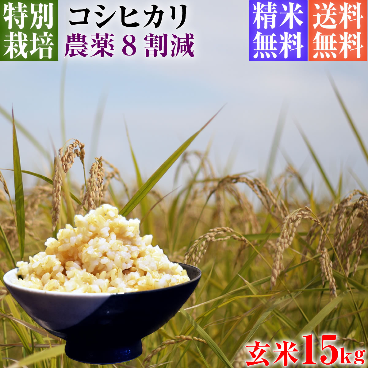 訳ありセール 農家直送 美味しいお米 埼玉県産コシヒカリ