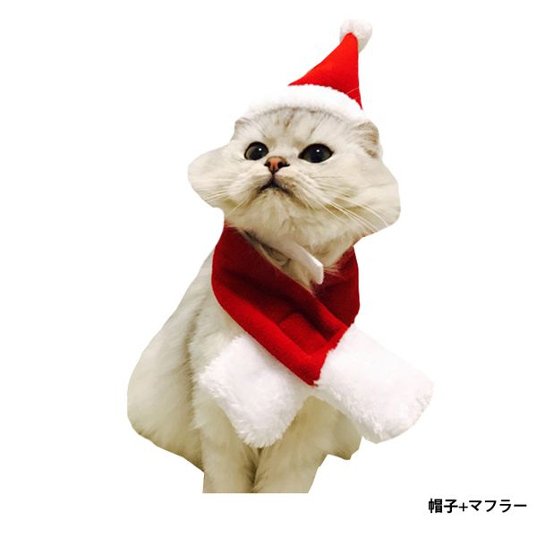 楽天市場 予約 ペットコスプレ クリスマス サンタ帽子 サンタマント トナカイ 犬コスプレ 猫コスプレ ペットグッズ コスチューム 衣装 小型犬 中型犬 大型犬 サンタクロース コスチューム 仮装 キャットウェア ドッグウェア Flopsy Mart