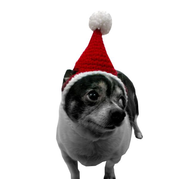 楽天市場 予約k ペットコスプレ クリスマス サンタ帽子 ニット帽子 ペット用帽子 犬コスプレ 猫コスプレ ペットグッズ コスチューム 衣装 小型犬 中型犬 大型犬 サンタクロース コスチューム 仮装 ハンドメイド風 手編み風 かわいい Flopsy Mart