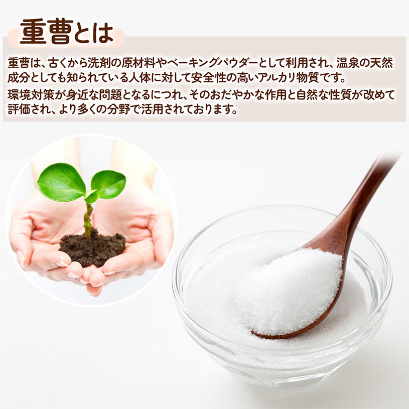 AGC製 重曹 1kg 【送料無料】【メール便で郵便ポストにお届け】【代引不可】【時間指定不可】 食品添加物 国産重曹 料理やお菓子作り、野菜のあく抜き、ベーキングパウダーとして、シンク・ガス台の頑固な汚れにも [01] NICHIGA(ニチガ)