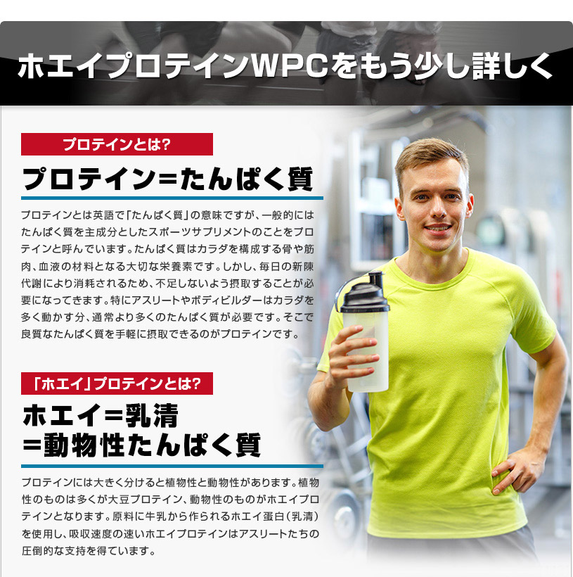 お洒落 ホエイプロテイン ＷＰＣ 1ｋｇ×3袋 プレーンタイプ タンパク質含有量81.9％ アミノ酸スコア100 02 NICHIGA ニチガ  turbonetce.com.br