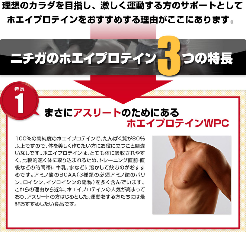 お洒落 ホエイプロテイン ＷＰＣ 1ｋｇ×3袋 プレーンタイプ タンパク質含有量81.9％ アミノ酸スコア100 02 NICHIGA ニチガ  turbonetce.com.br