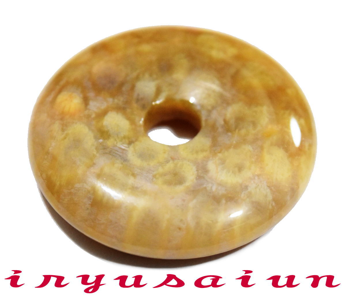 【送料無料】天然 珊瑚 サンゴ 化石 平安扣<BR>フォッシルコーラル 菊花石<BR>男女兼用 新品 一点もの<BR>レディースネックレス<BR>メンズネックレス<BR>necklace coral fossil<BR>威龍彩雲