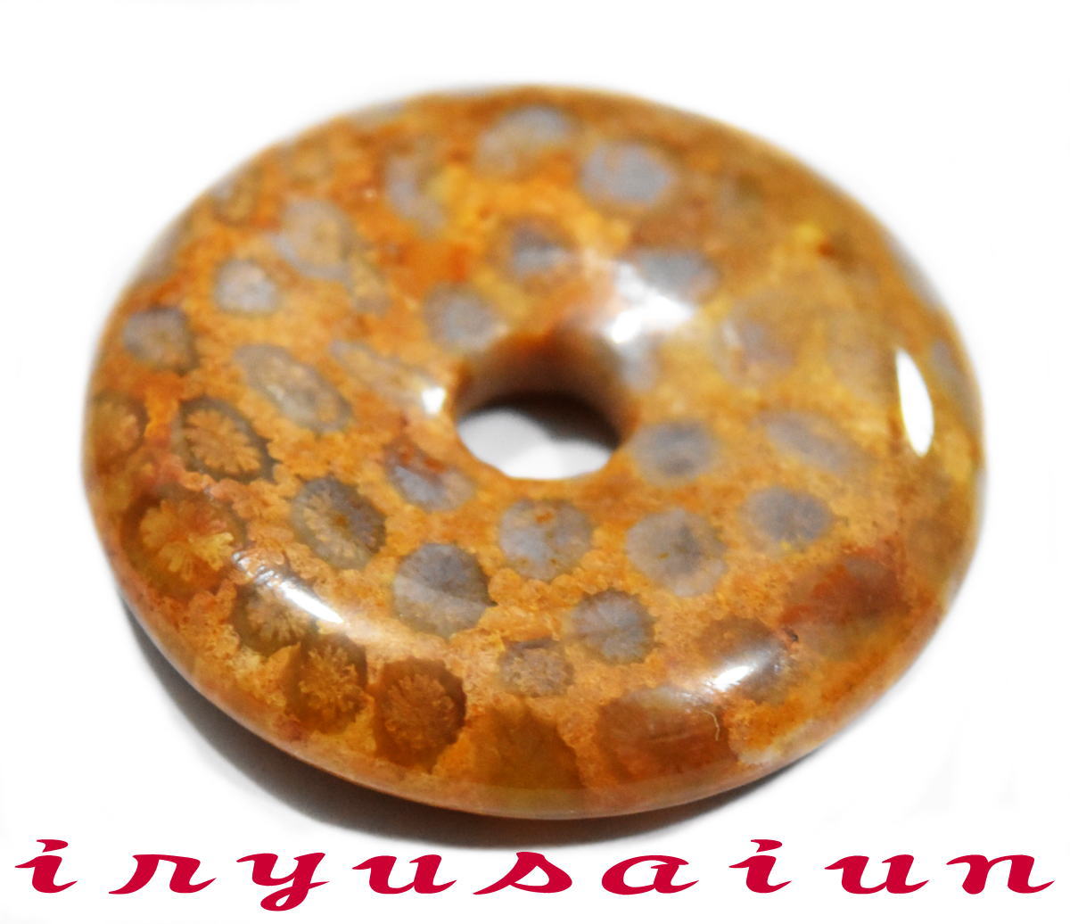 【送料無料】天然 珊瑚 サンゴ 化石 平安扣<BR>フォッシルコーラル 菊花石<BR>男女兼用 新品 一点もの<BR>レディースネックレス<BR>メンズネックレス<BR>necklace coral fossil<BR>威龍彩雲