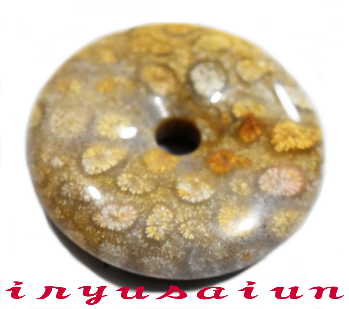 【送料無料】天然 珊瑚 サンゴ 化石 平安扣<BR>フォッシルコーラル 菊花石<BR>男女兼用 新品 一点もの<BR>レディースネックレス<BR>メンズネックレス<BR>necklace coral fossil<BR>威龍彩雲