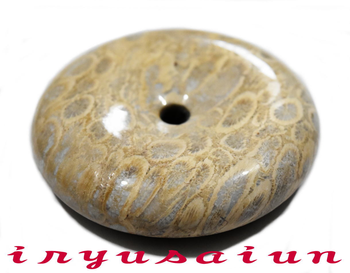 【送料無料】<BR>天然 珊瑚 サンゴ 化石 平安扣<BR>フォッシルコーラル 菊花石<BR>男女兼用 新品 一点もの<BR>レディースネックレス<BR>メンズネックレス<BR>necklace coral fossil<BR>威龍彩雲