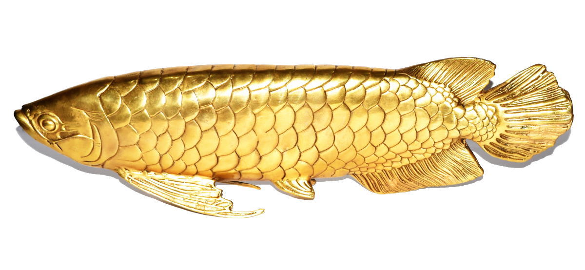 auc-iryusaiun | Rakuten Global Market: Gold Dragon fish oversized ...